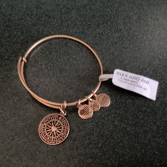 Alex and Ani Expandable Wire Bracelet True Direction New with tag - Picture 3 of 8